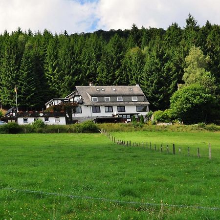 Haus Hubertus Lejlighed Willingen  Eksteriør billede