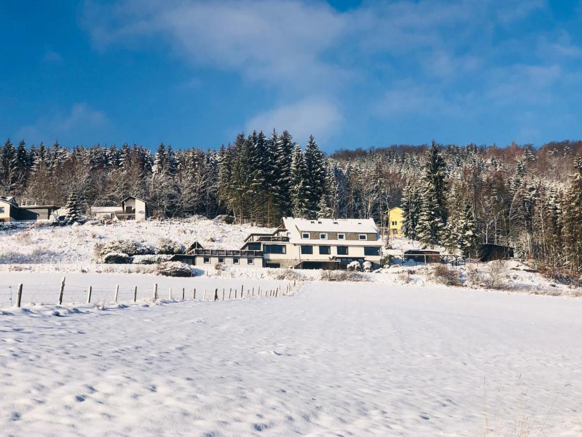 Haus Hubertus Lejlighed Willingen  Eksteriør billede