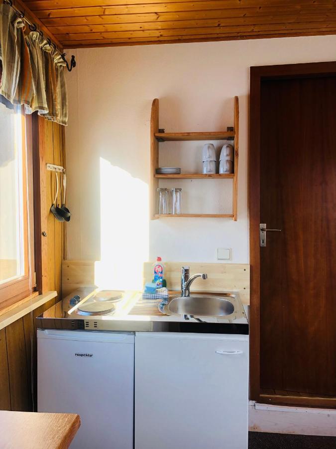 Haus Hubertus Lejlighed Willingen  Eksteriør billede