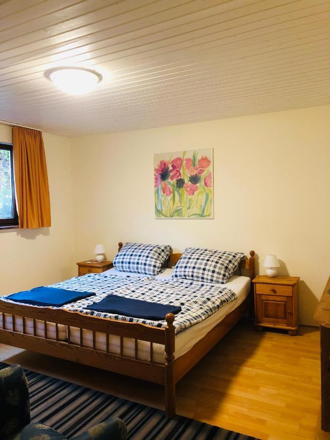 Haus Hubertus Lejlighed Willingen  Eksteriør billede