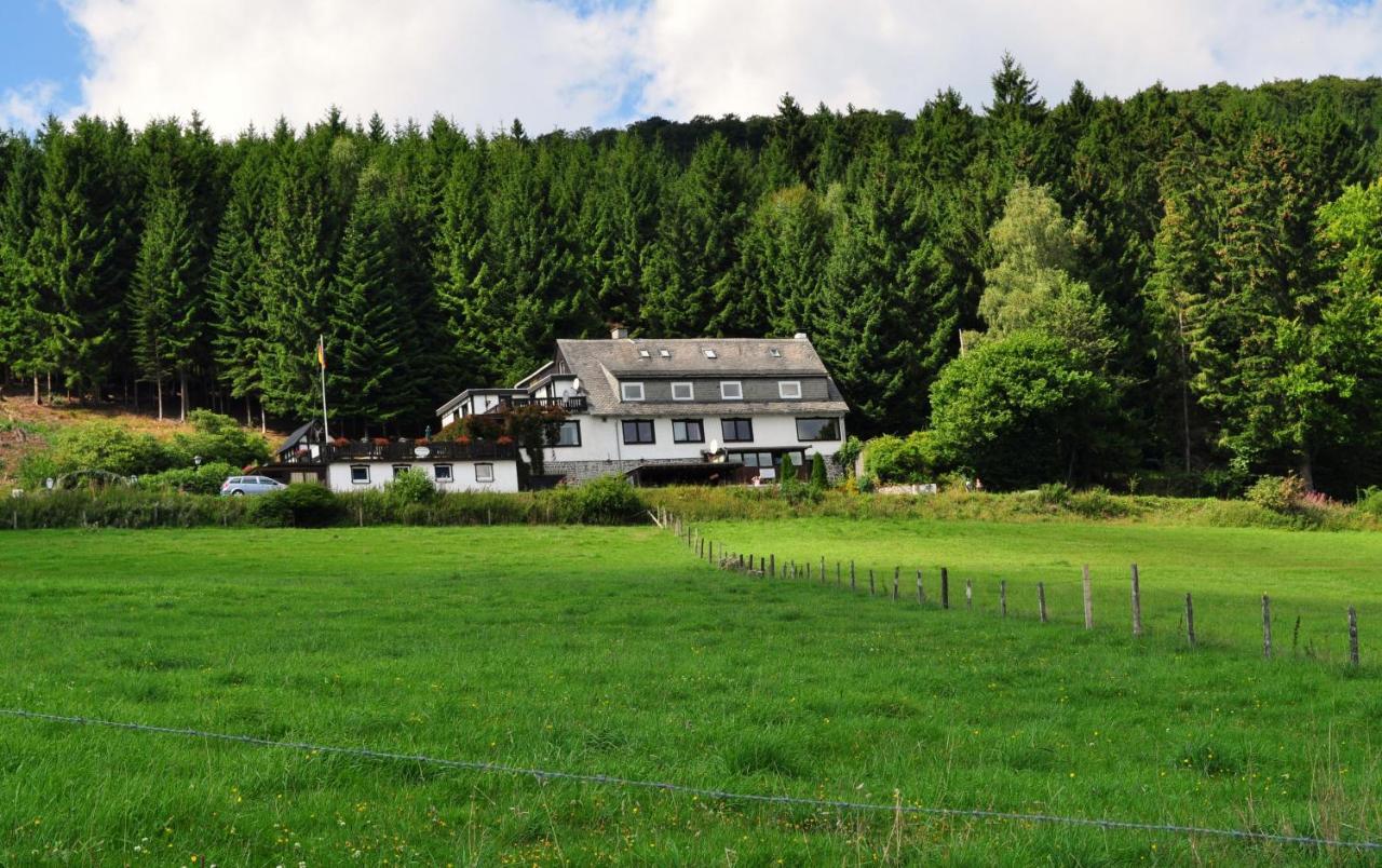 Haus Hubertus Lejlighed Willingen  Eksteriør billede